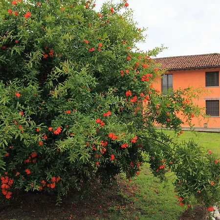 Alloggio Agrituristico Cascina Tappa Locate di Triulzi